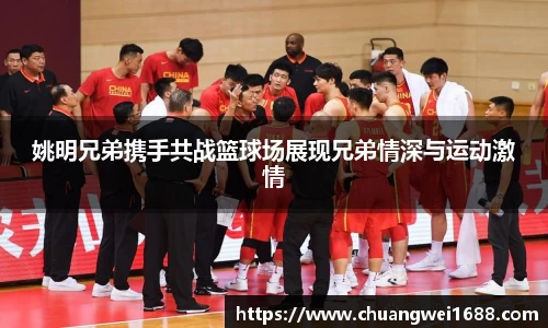 姚明兄弟携手共战篮球场展现兄弟情深与运动激情
